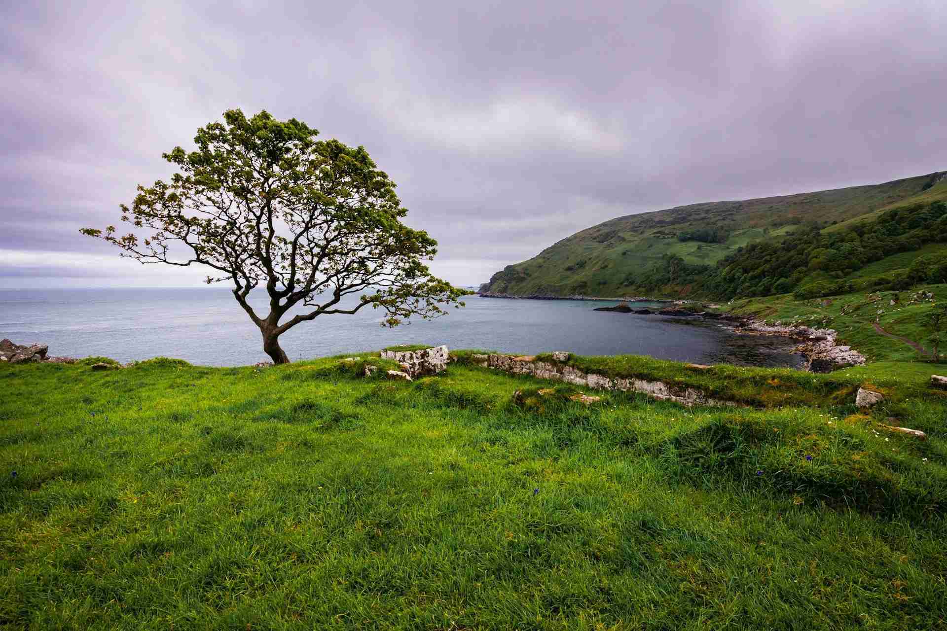 Murlough Bay by David Becker