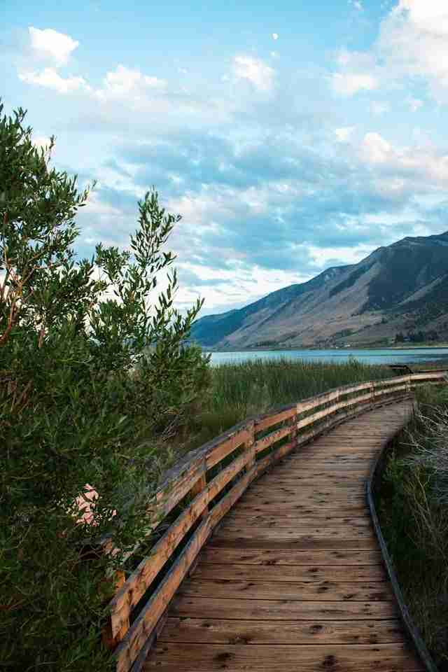 Boardwalk Trail, Mono Lake Park by Zoshua Colah