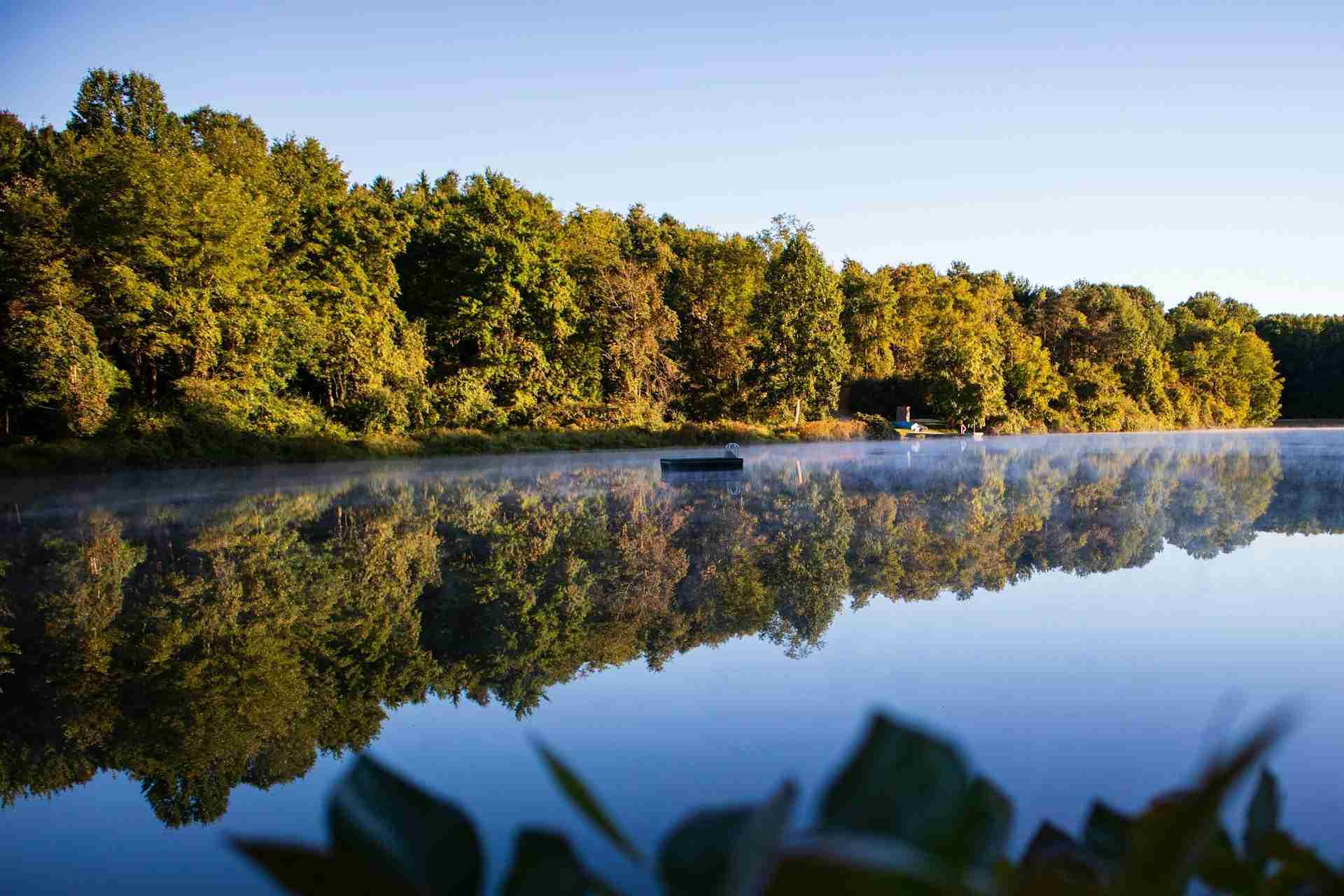 Lake Heron by Ryan Stone