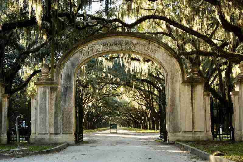 Wormsloe State Historic Site by Y Nakanishi