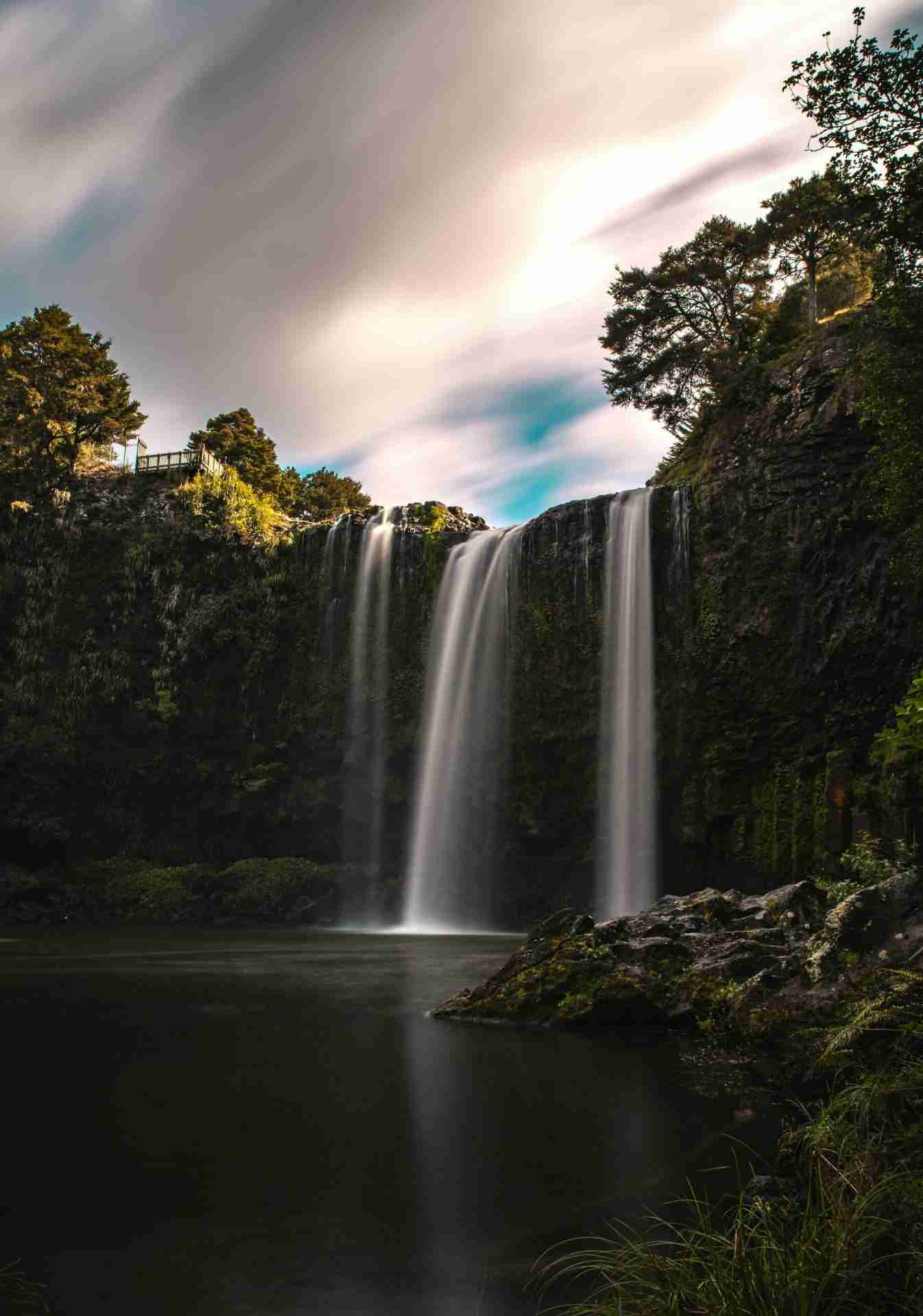 Whangārei Falls by Casey Horner