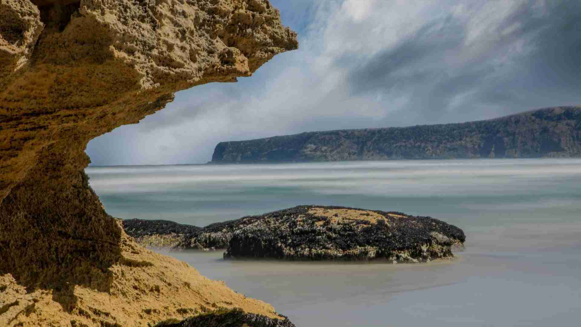 Shelly Beach by Vince Russell