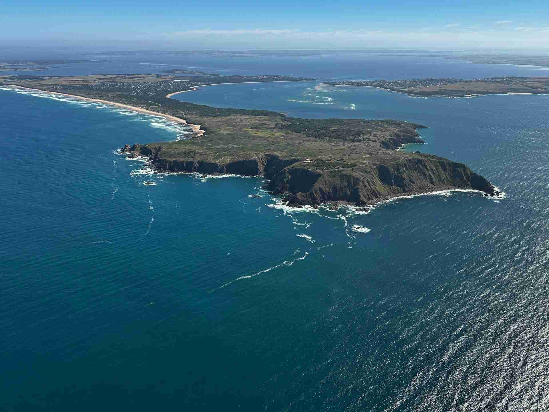 Cape Woolamai Beacon by Haydn