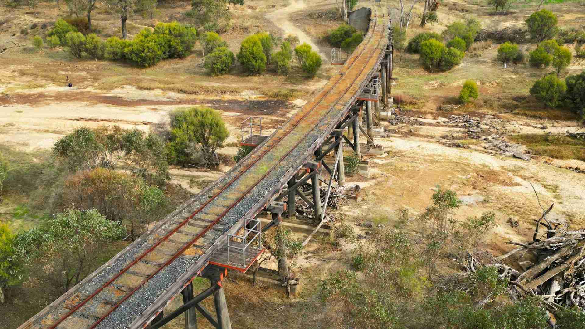 Skeleton Bridge by Ian