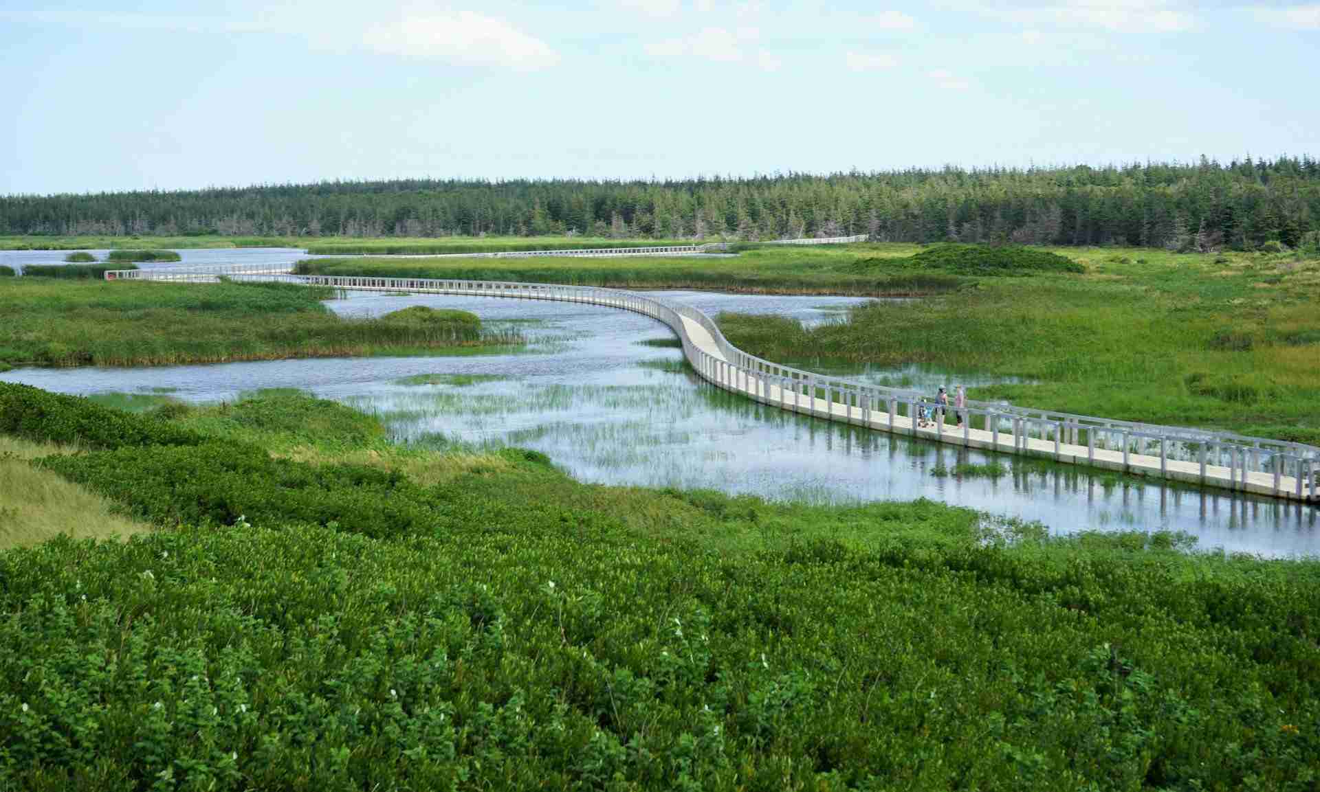 Greenwich, Prince Edward Island National Park by Tamás Szabó