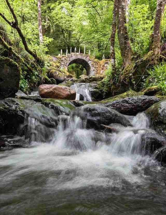 Fairy Bridge of Glen Creran by Suzanne Rushton