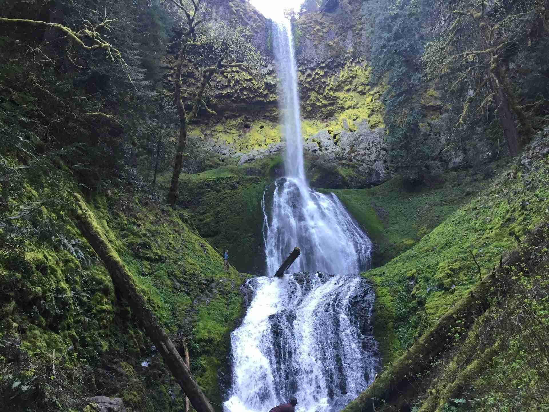 Pup Creek Waterfall by Derek Sears