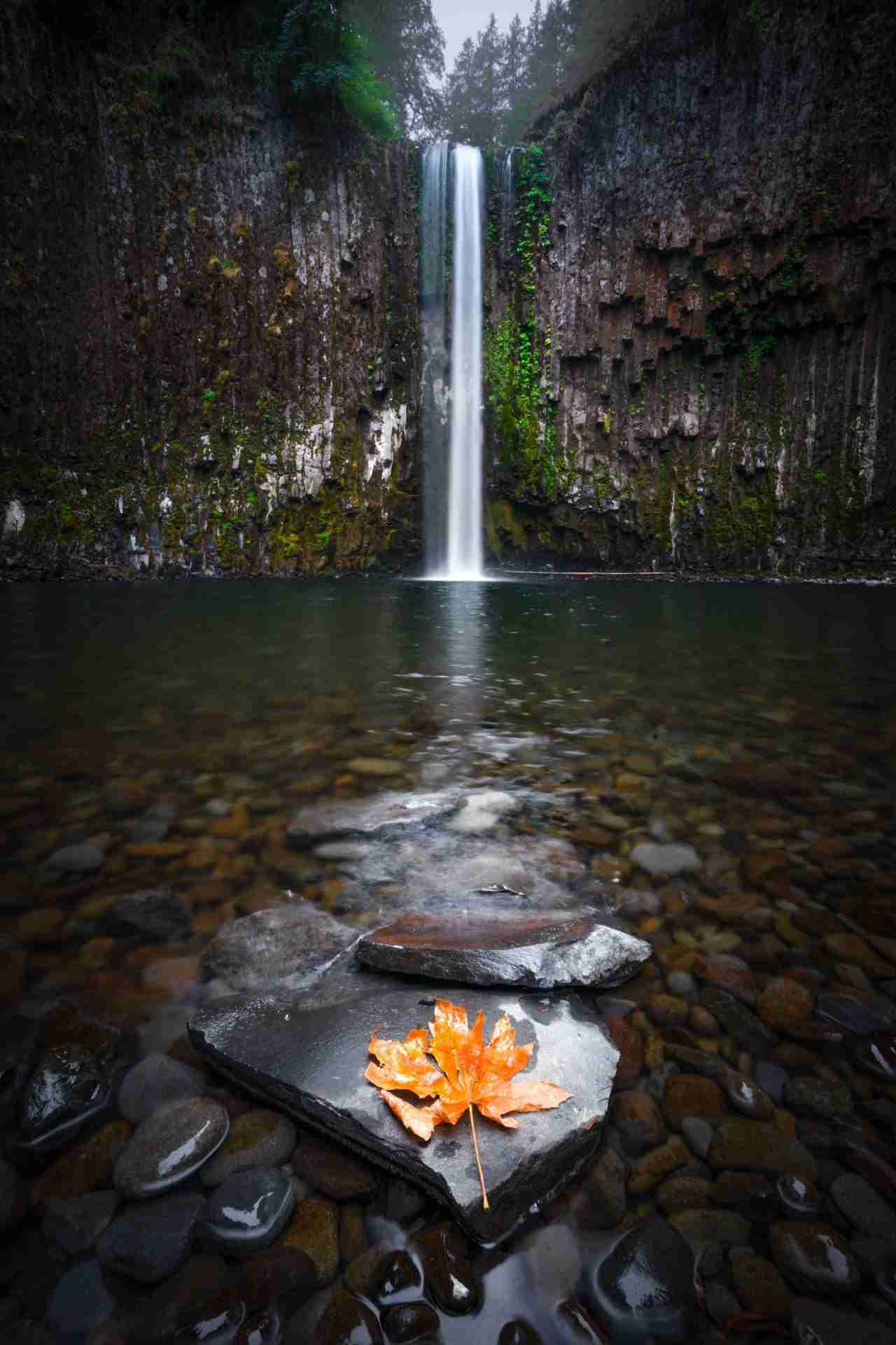 Abiqua Falls by Intricate Explorer