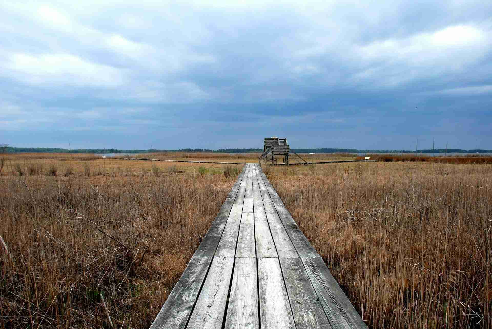 Chesapeake Bay Environmental Center by Nancy Wilson