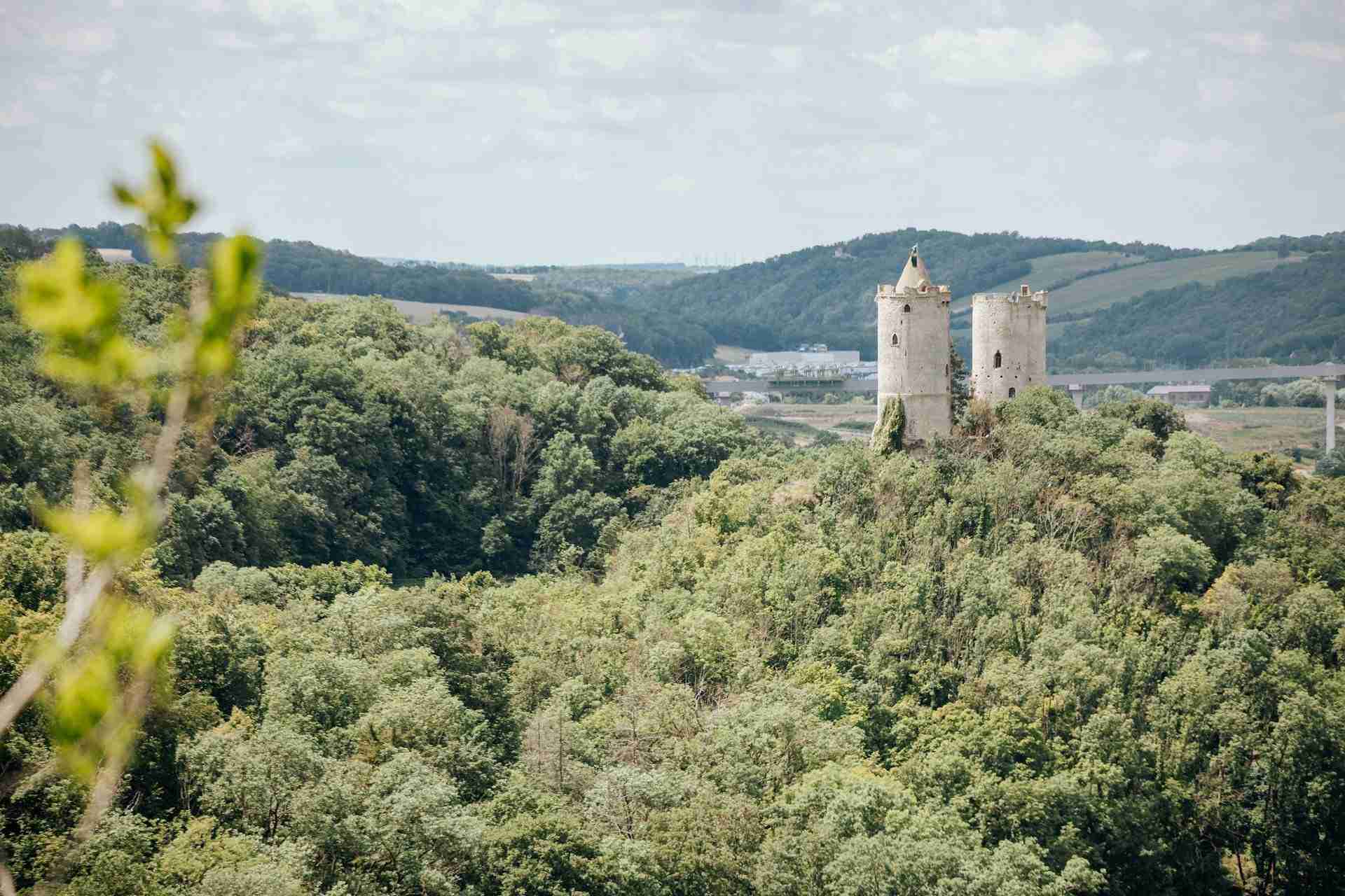 Burg Saaleck by Dana Ward