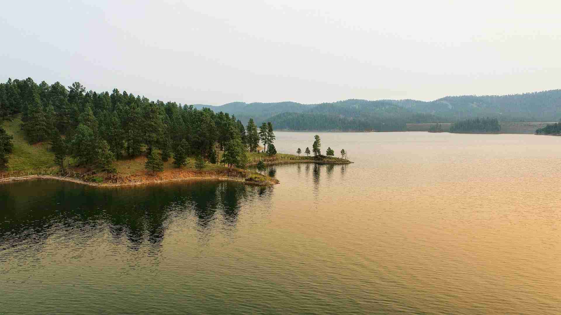 Pactola Lake by Travis Brown