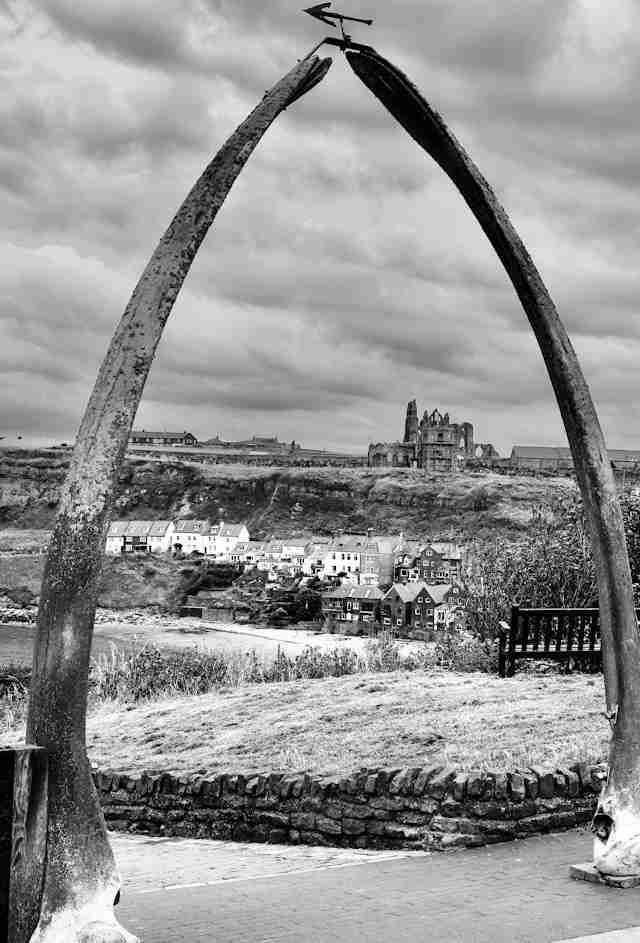 Whalebone Arch by Tony Williams