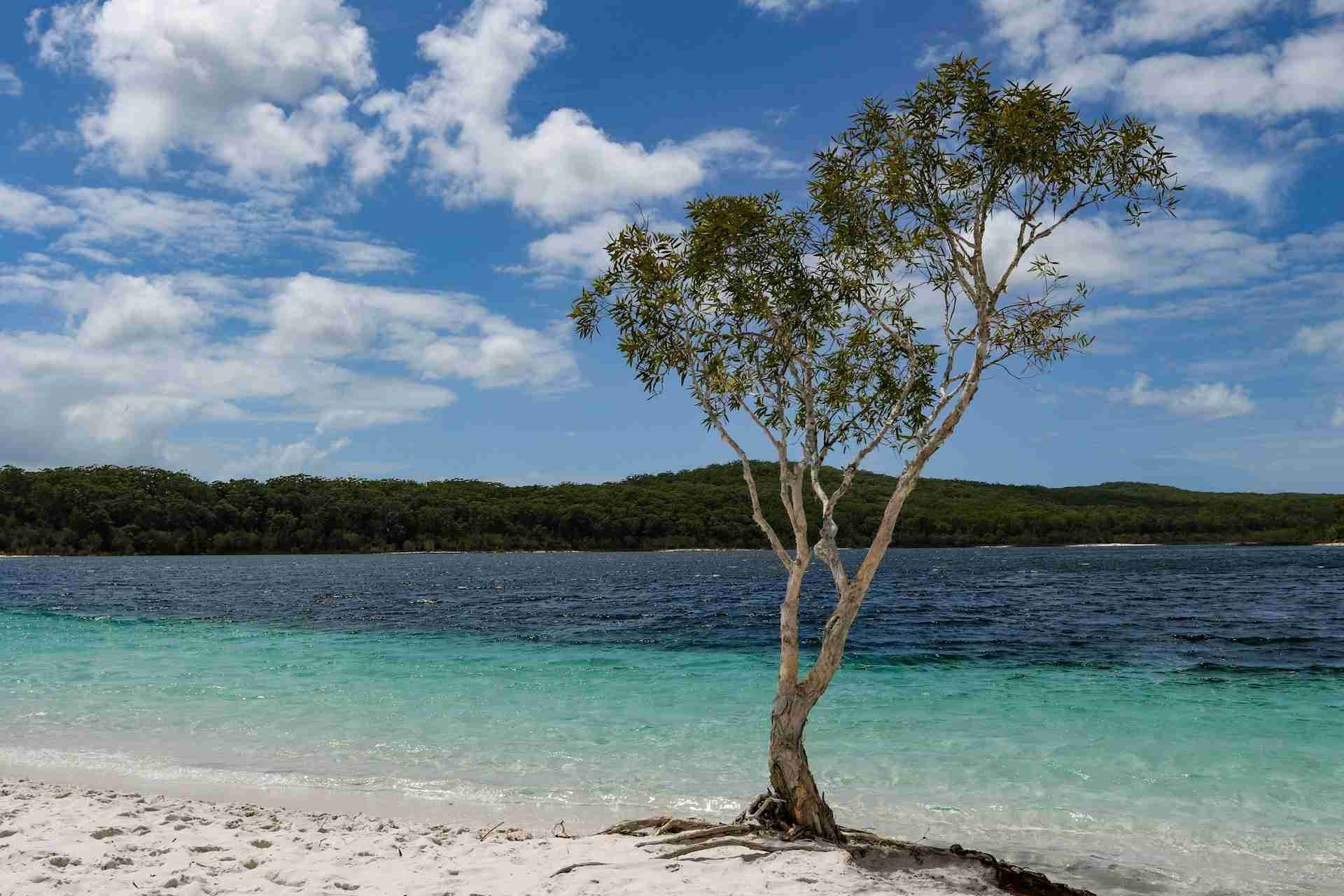 Lake Mckenzie (Boorangoora) by Duncan McNab