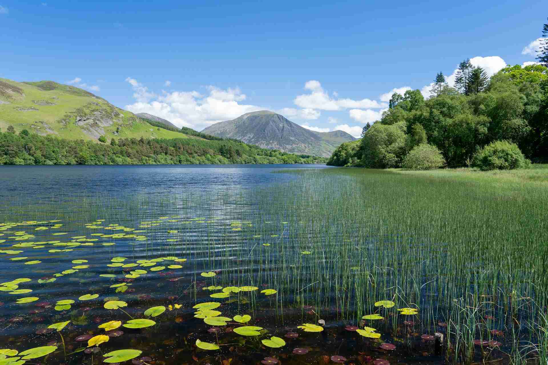 Loweswater by Jonny Gios