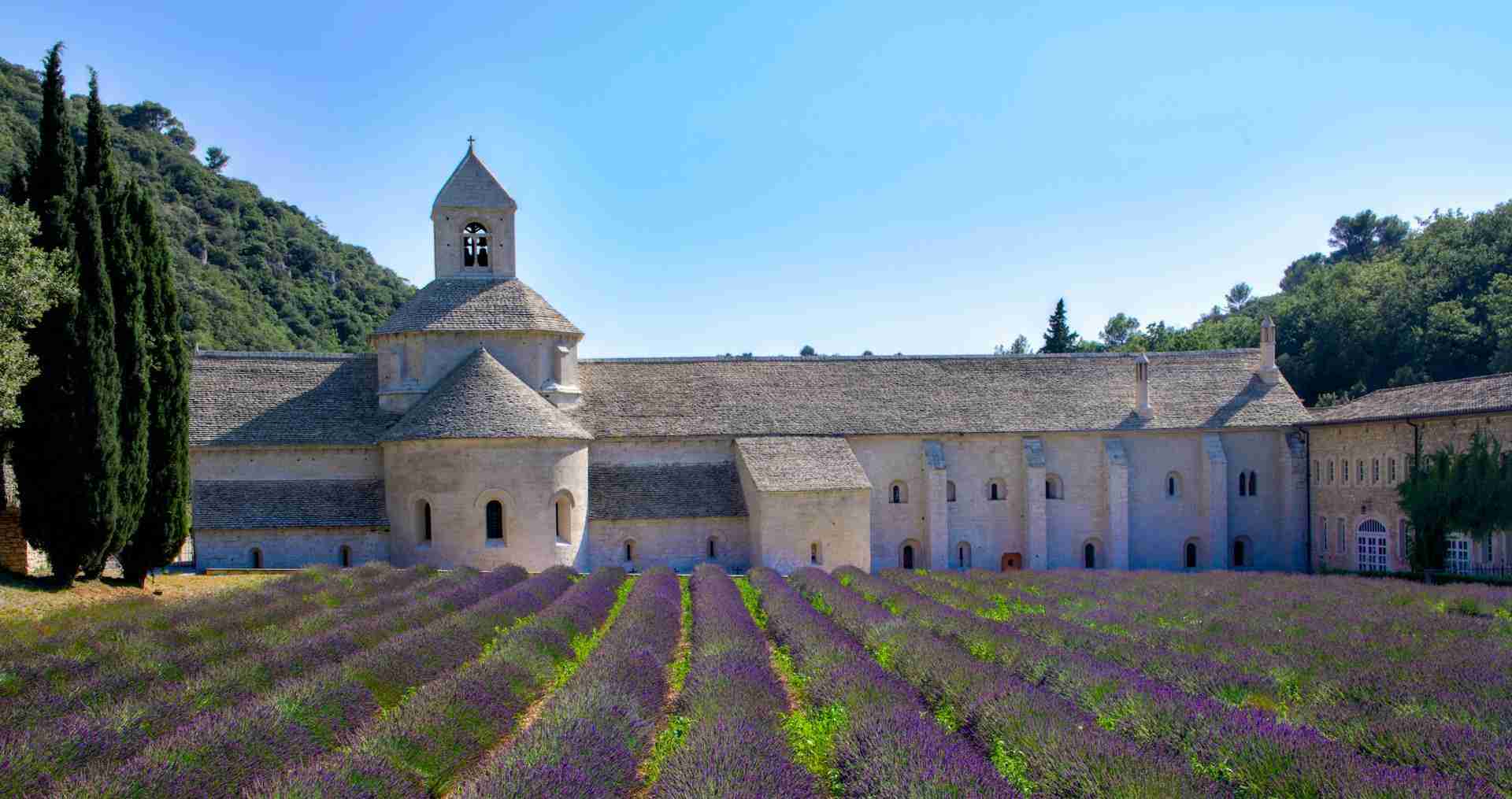 Abbaye Notre-Dame de Sénanque by Bo Zhang