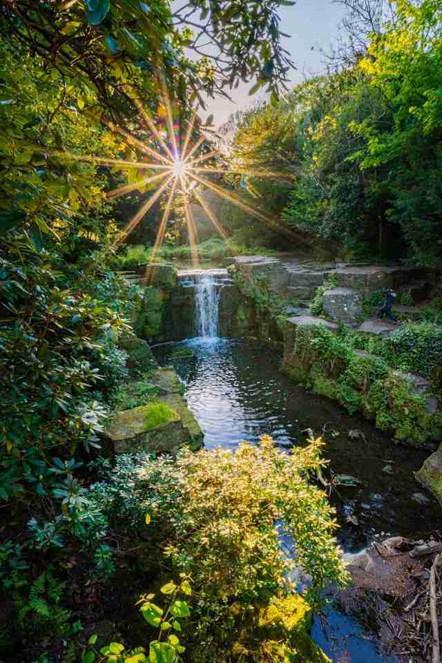 Jesmond Dene by Marco Angelo