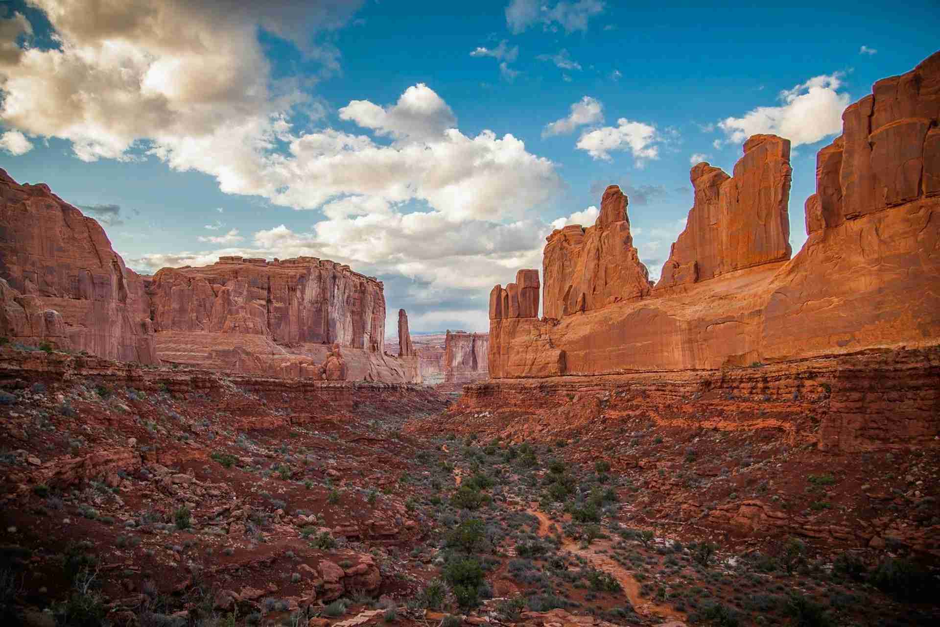 Park Avenue Viewpoint by Omar Rodriguez