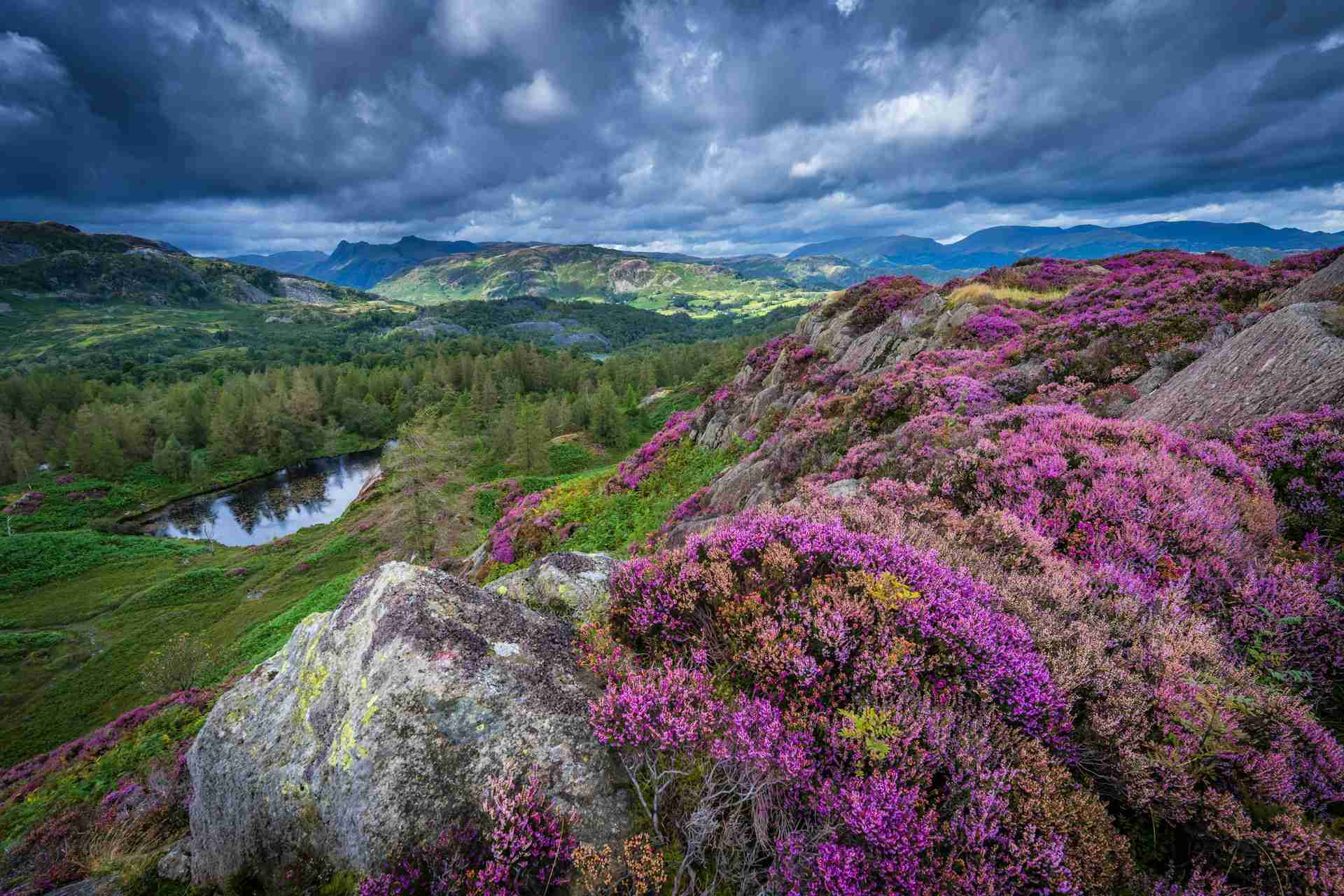 Holme Fell by Jonny Gios