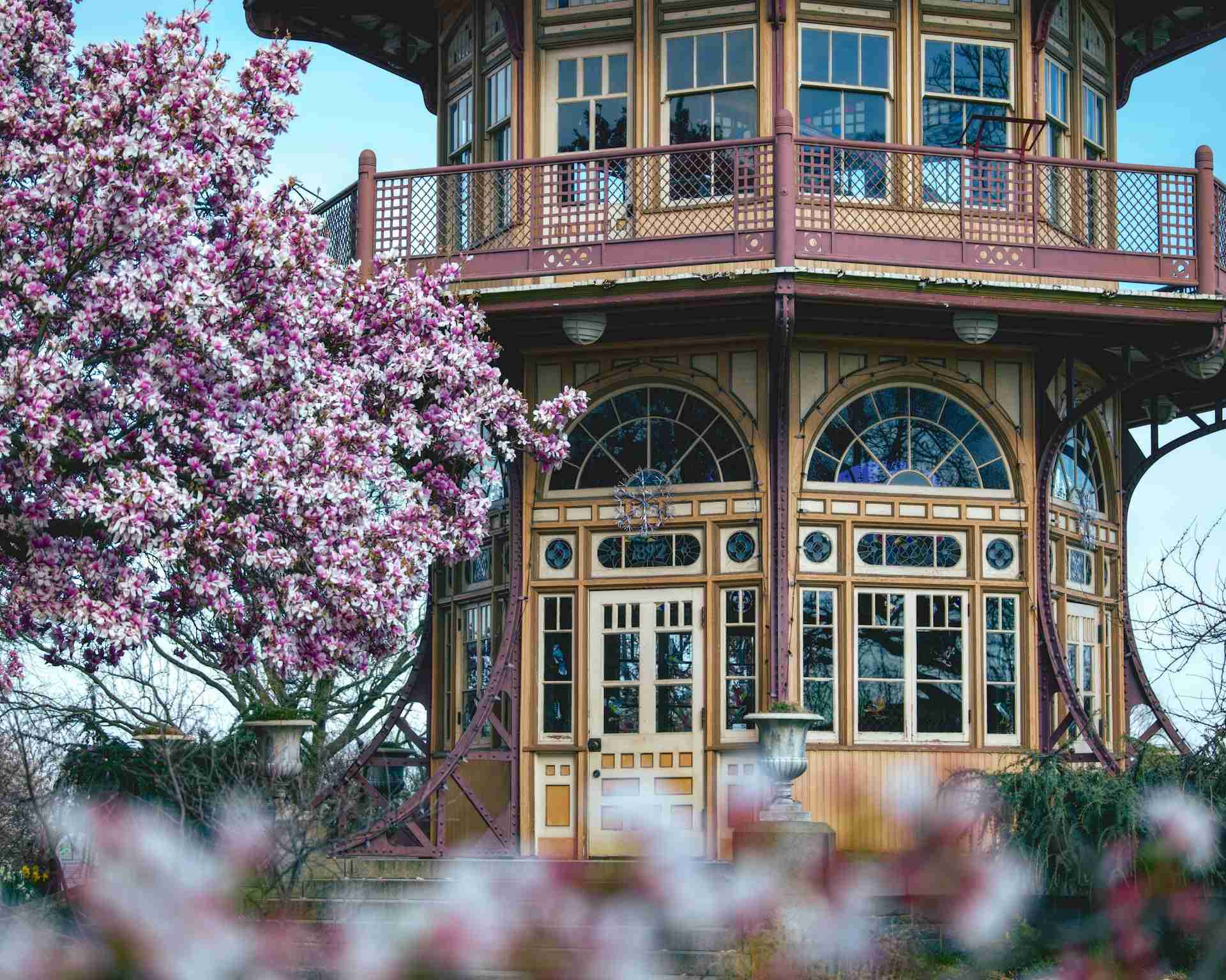 The Observatory at Patterson Park by Aaron Burden