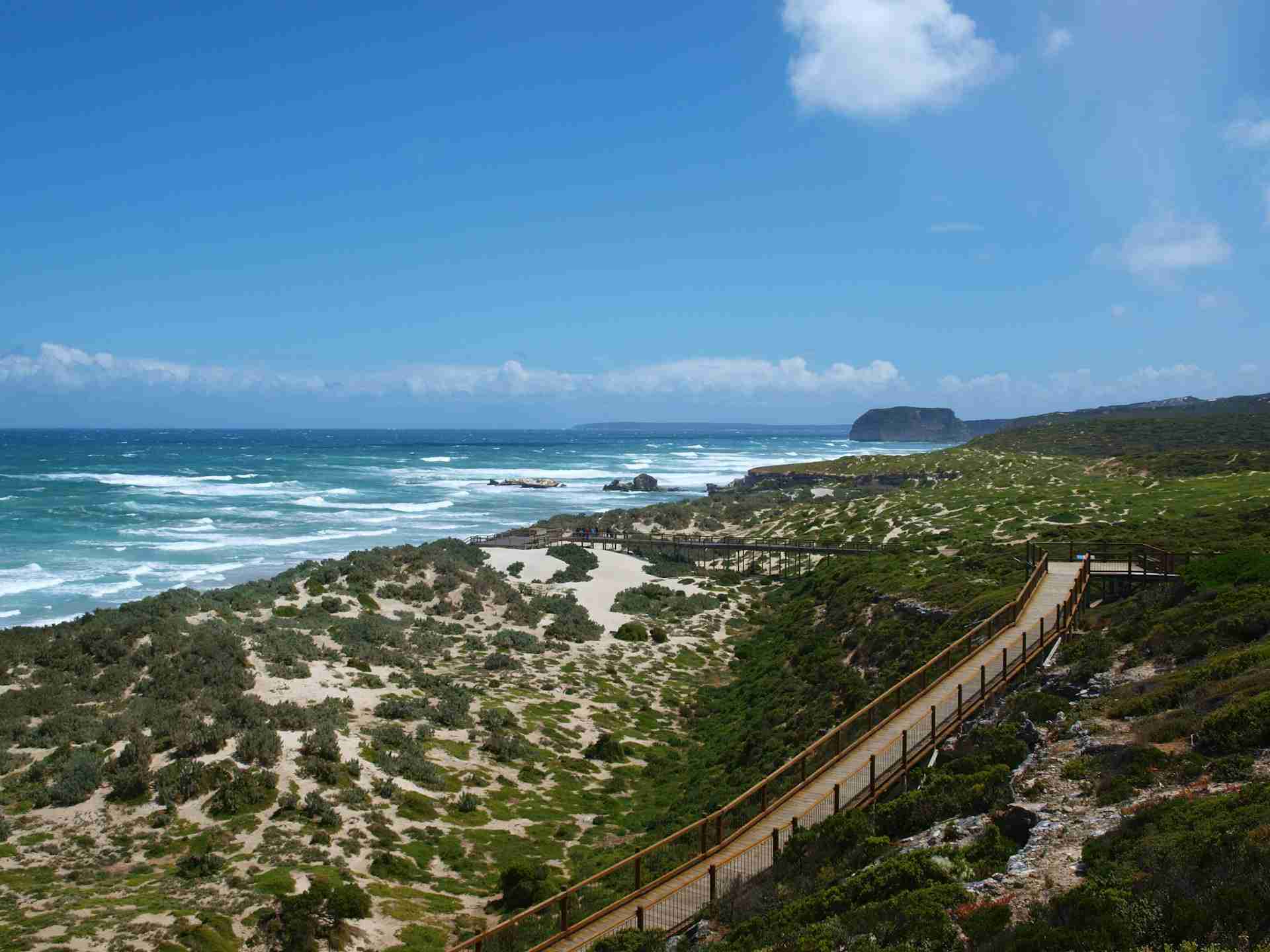 Seal Bay Conservation Park by RE Walsh