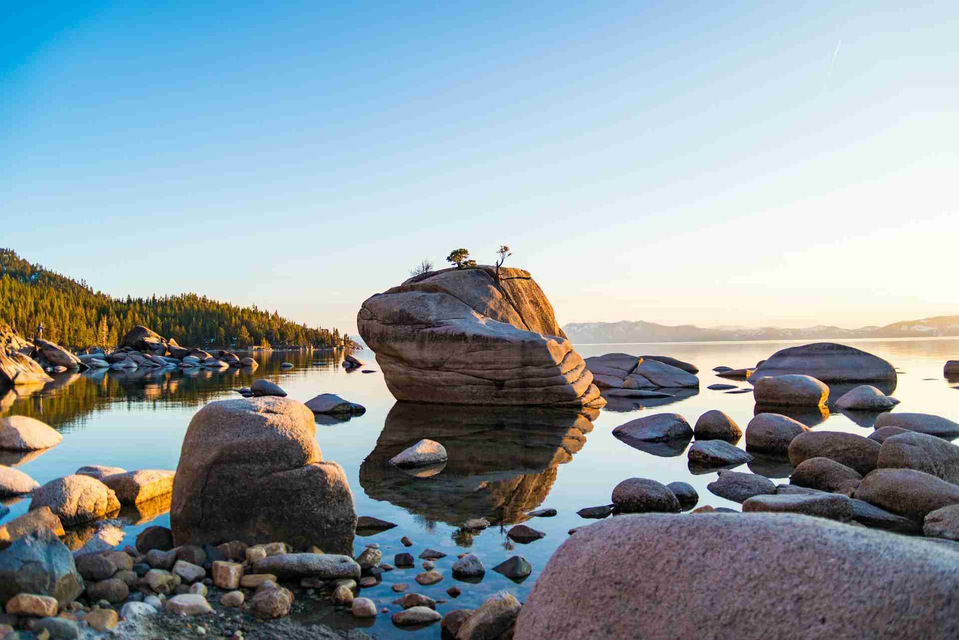 Bonsai Rock by Ethan Dow