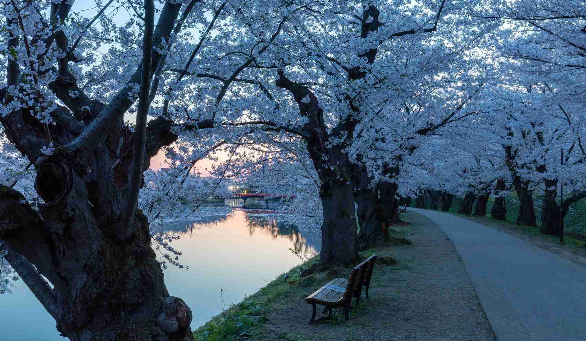 Hirosaki Park by Jun Ohashi