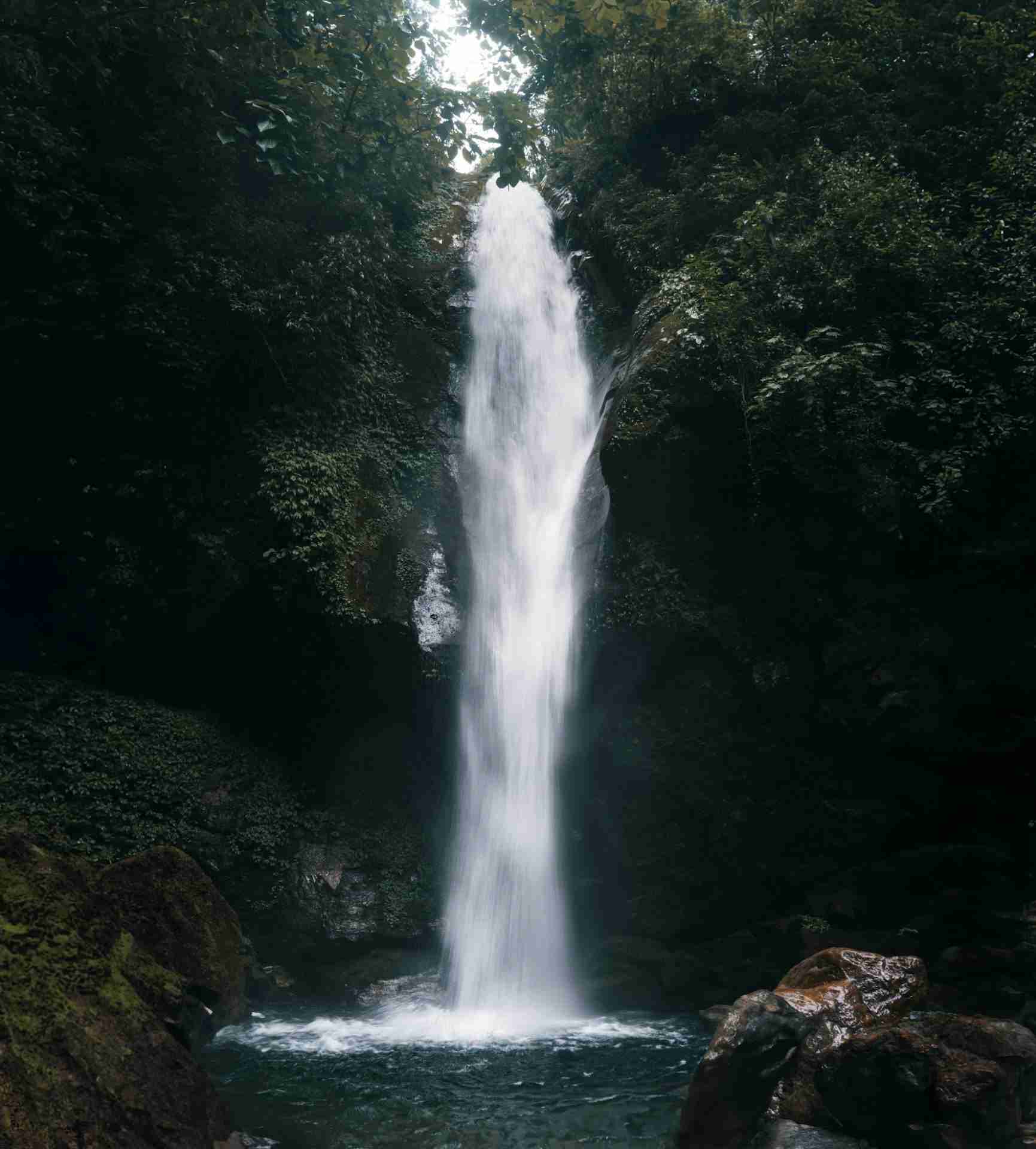 Kanchenjunga Falls by Neeraj Pramanik