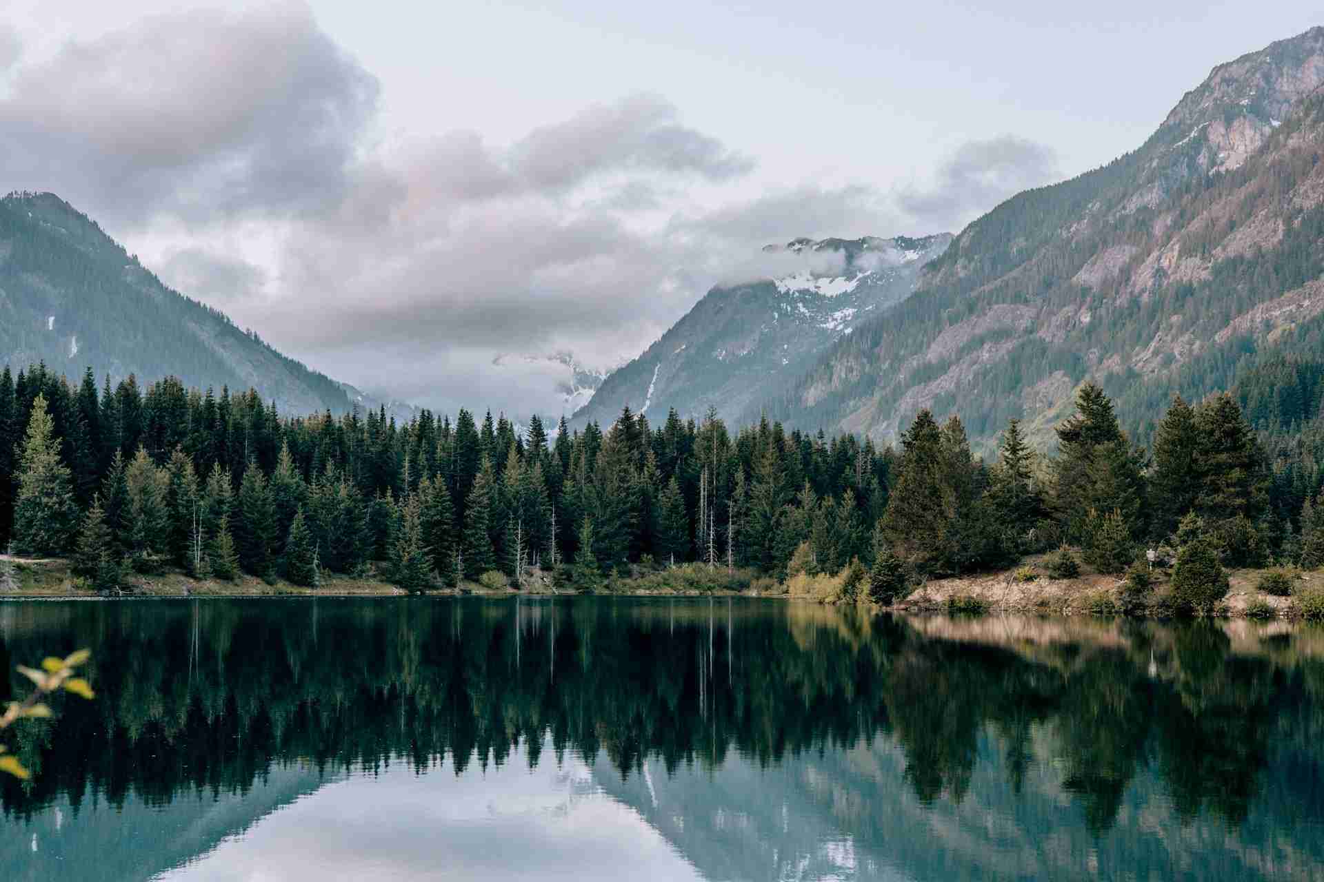 Gold Creek Pond by Anya Che