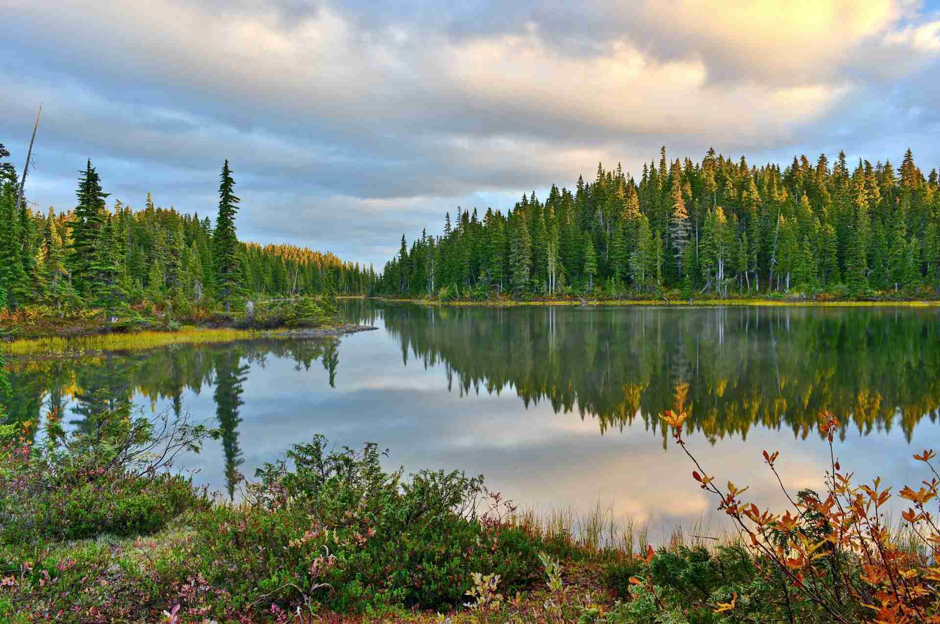 Battleship Lake by Ron O