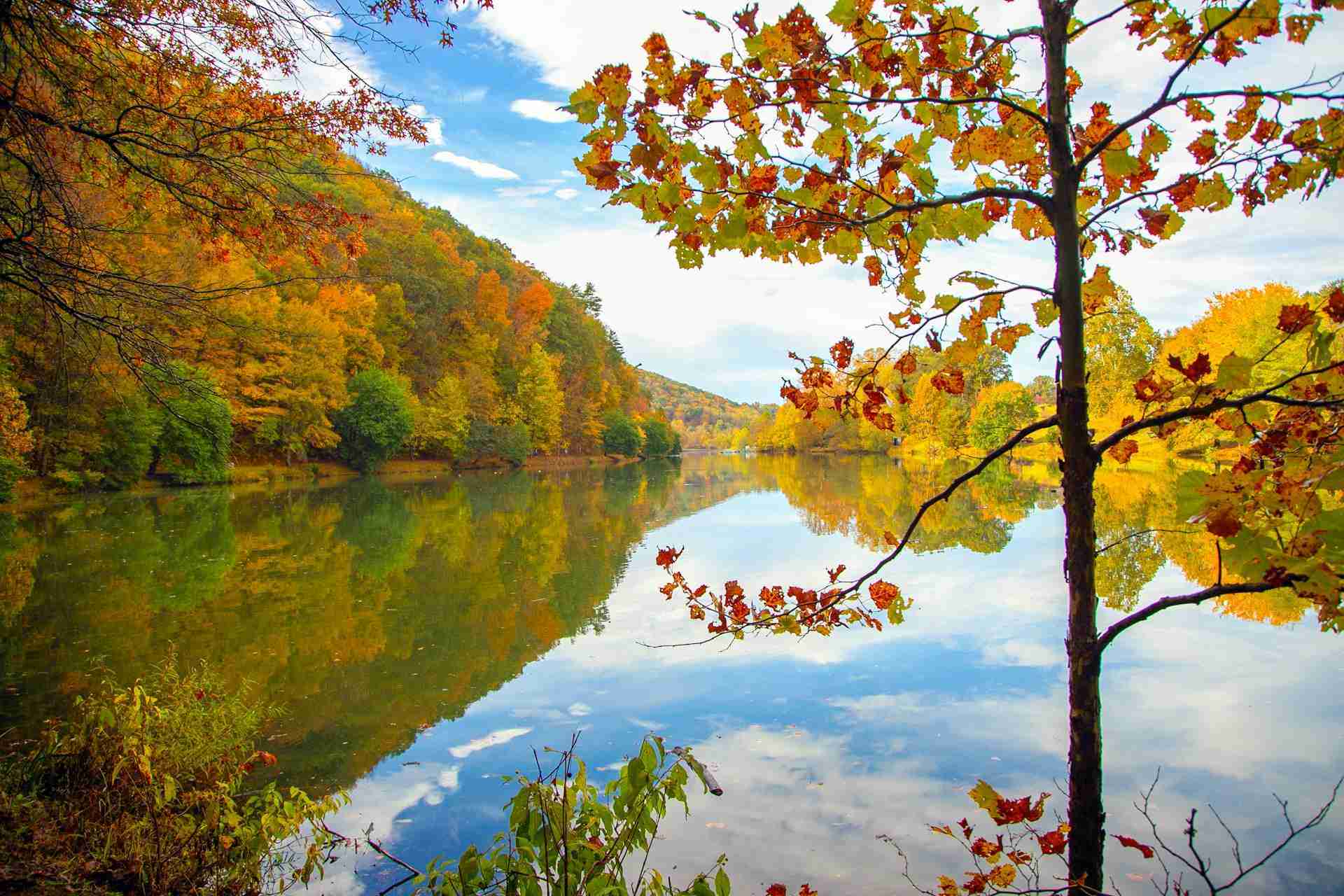 Steele Creek Park Lake by Jeny Plante