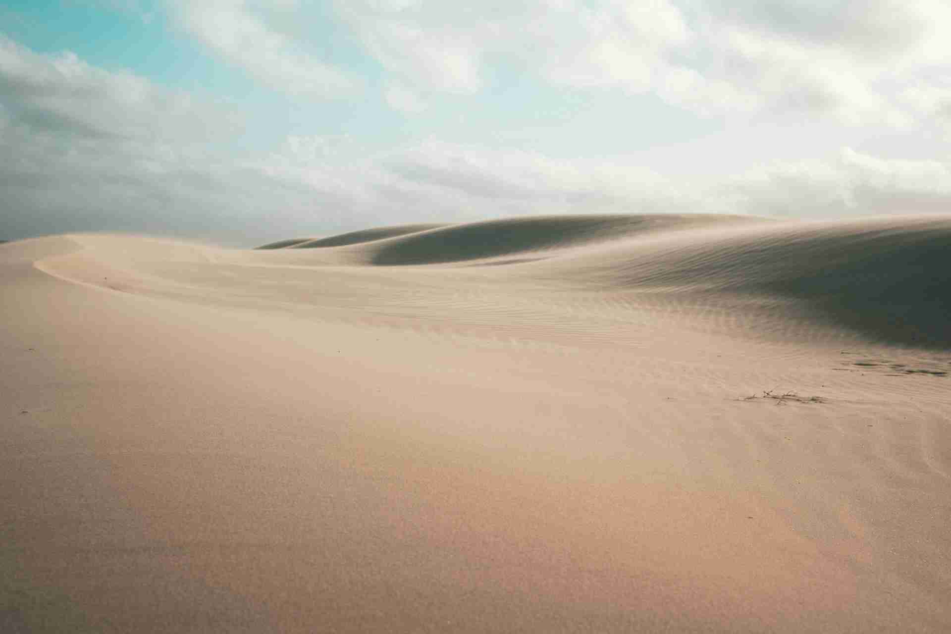 Stockton Sand Dunes by Dmitry Osipenko