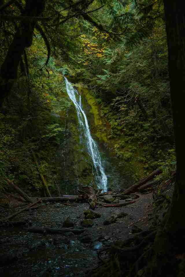 Madison Creek Falls by Alex Moliski