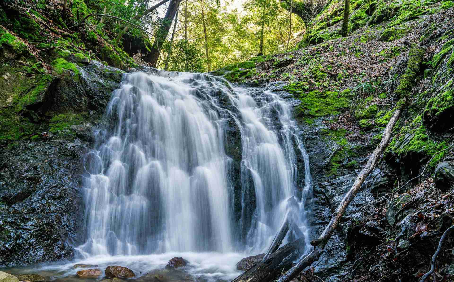 Uvas Falls by Vinu T