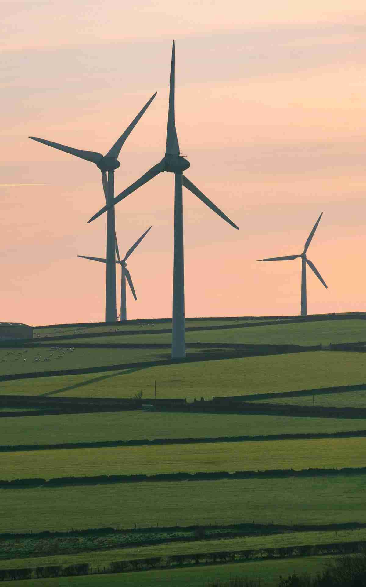 Royd Moor Wind Farm by Rory Tucker