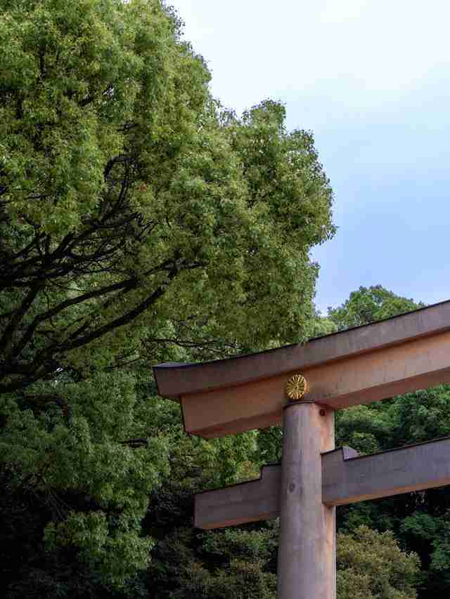 Meiji Jingu Shrine and Toriis by YANGHONG YU