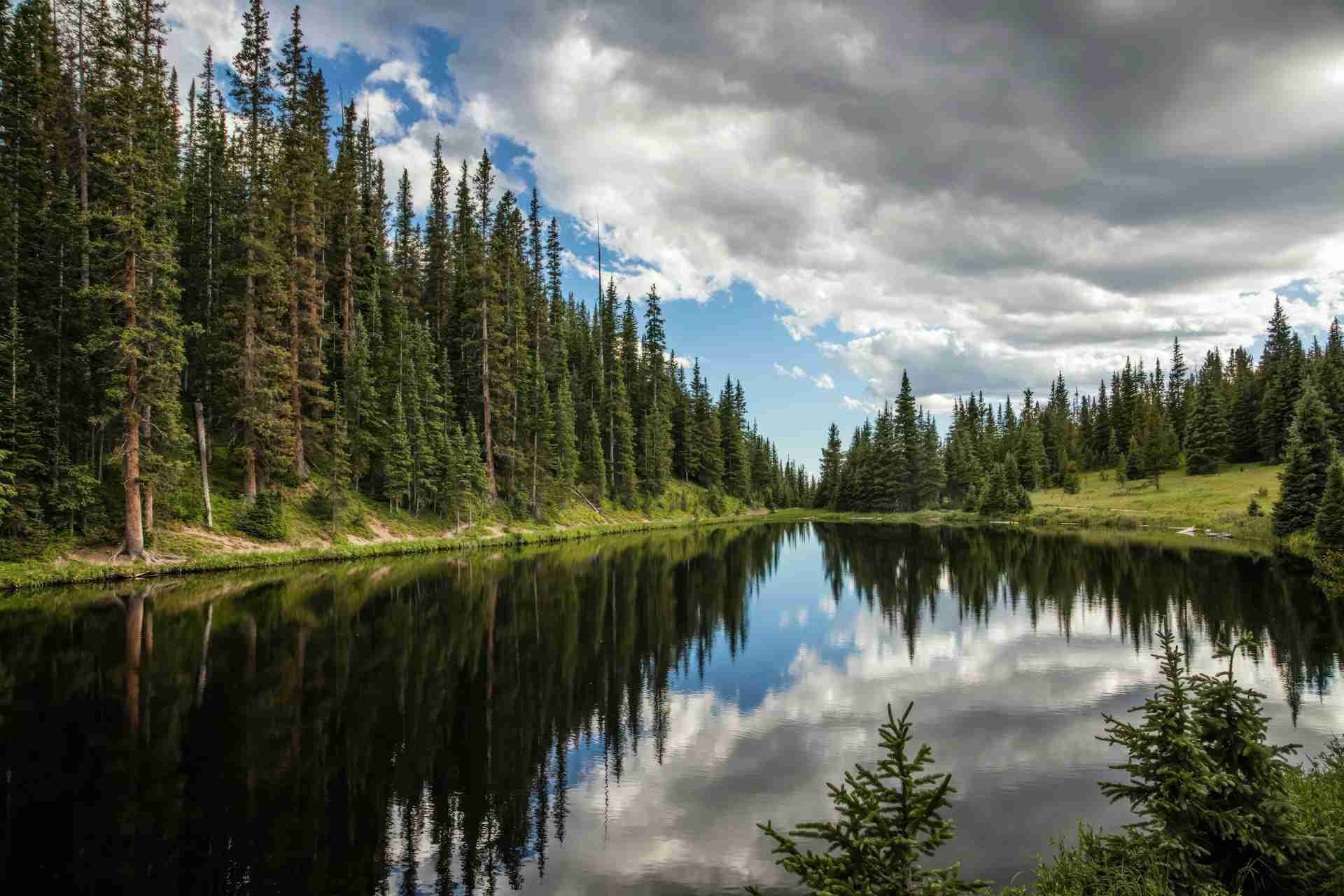 Lake Irene by Carol Highsmith’s America