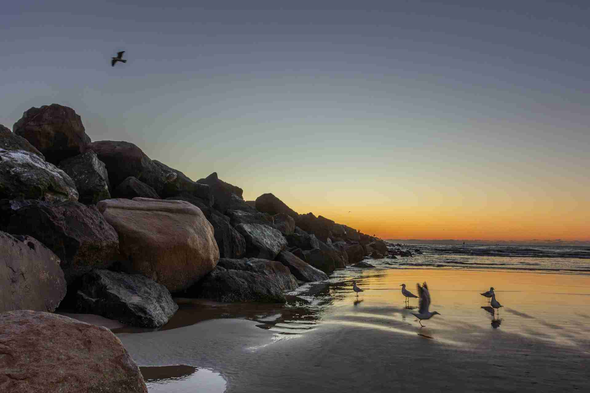 The Spit Gold Coast by DJ Paine
