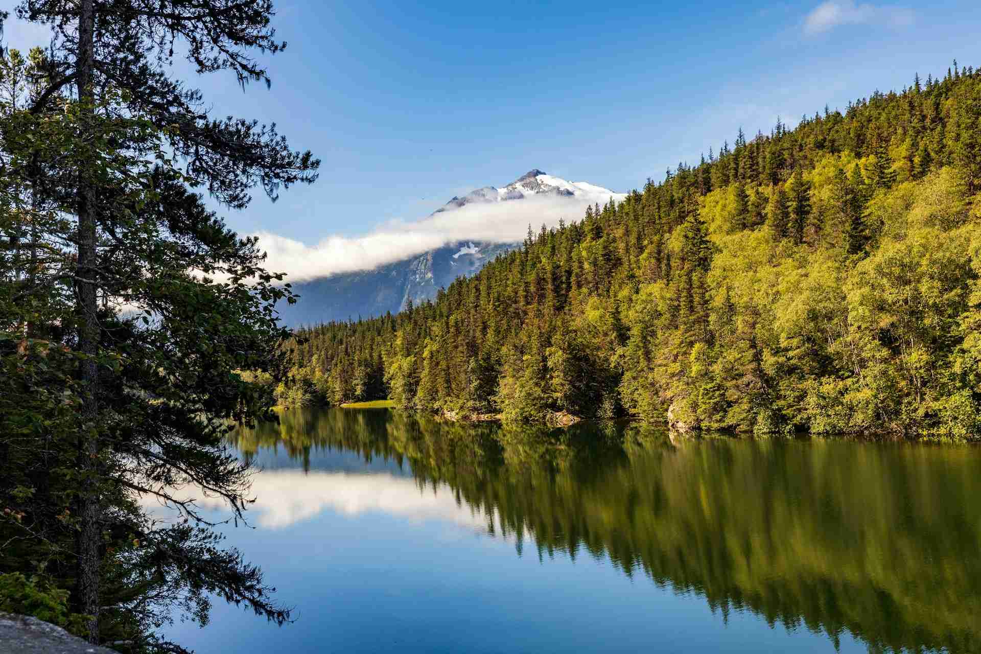 Lower Dewey Lake by Lori Stevens