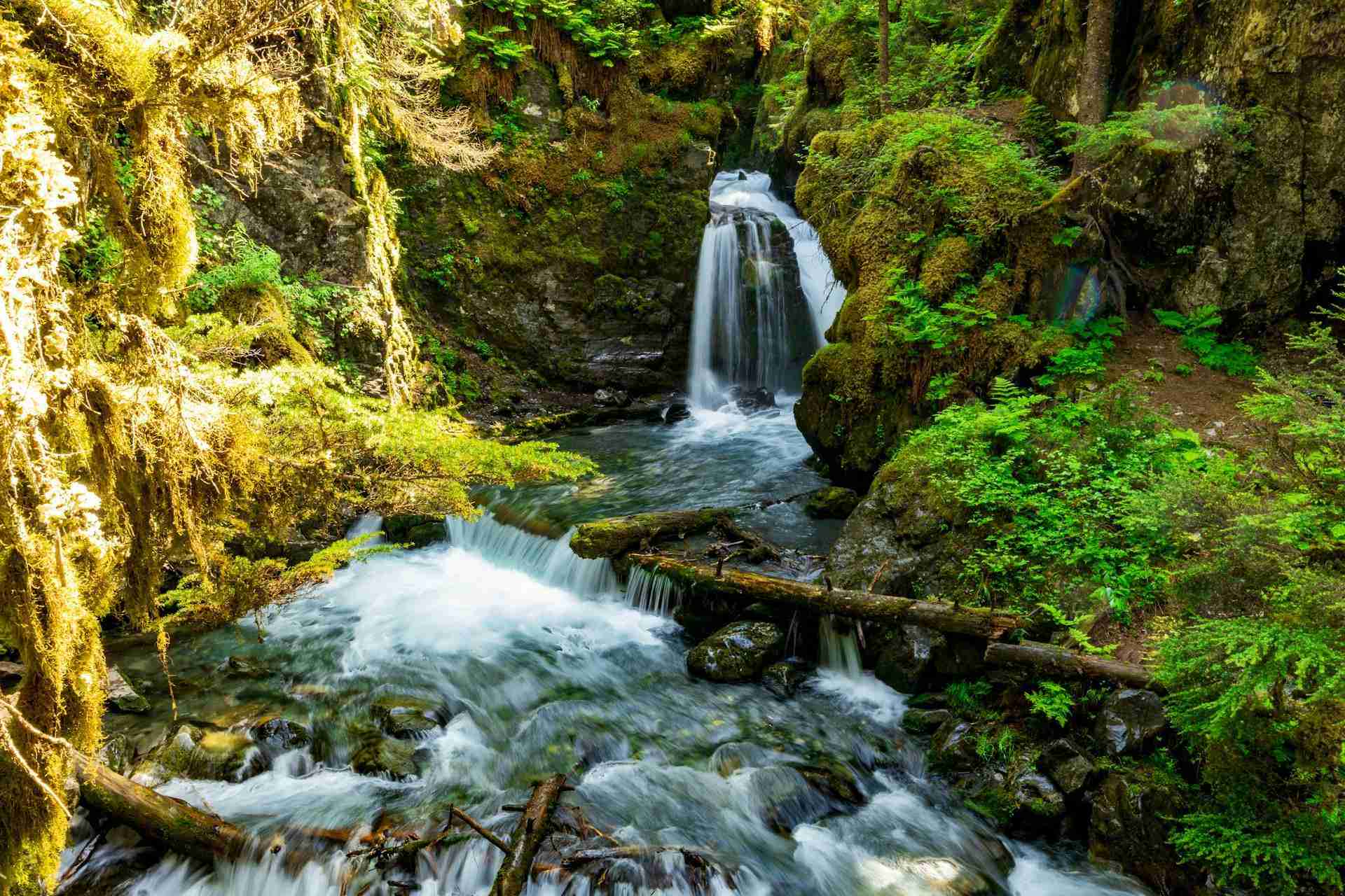 Virgin Creek Falls by Lori Stevens