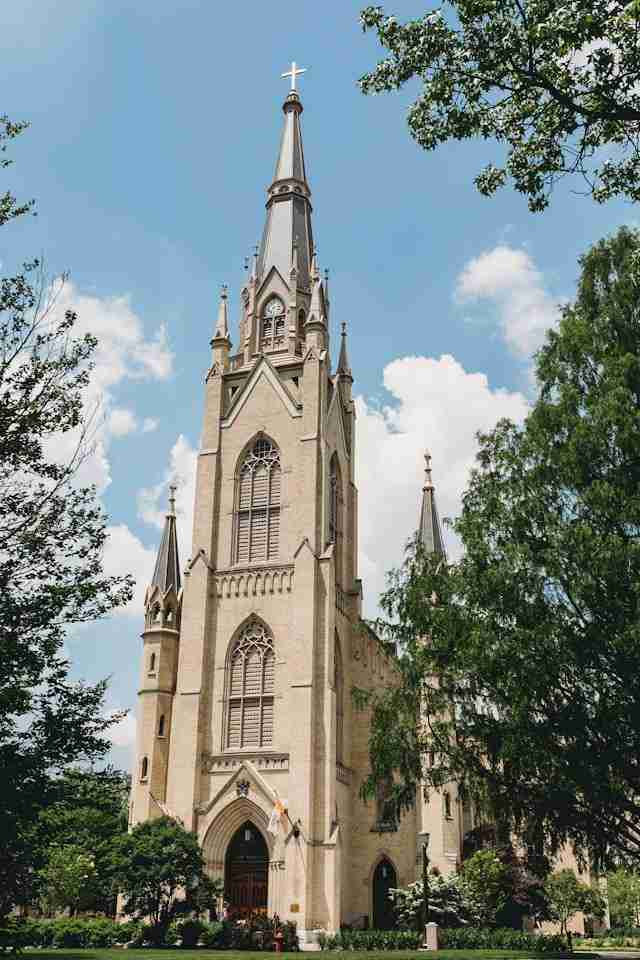 Basilica of the Sacred Heart by Steven Van Elk