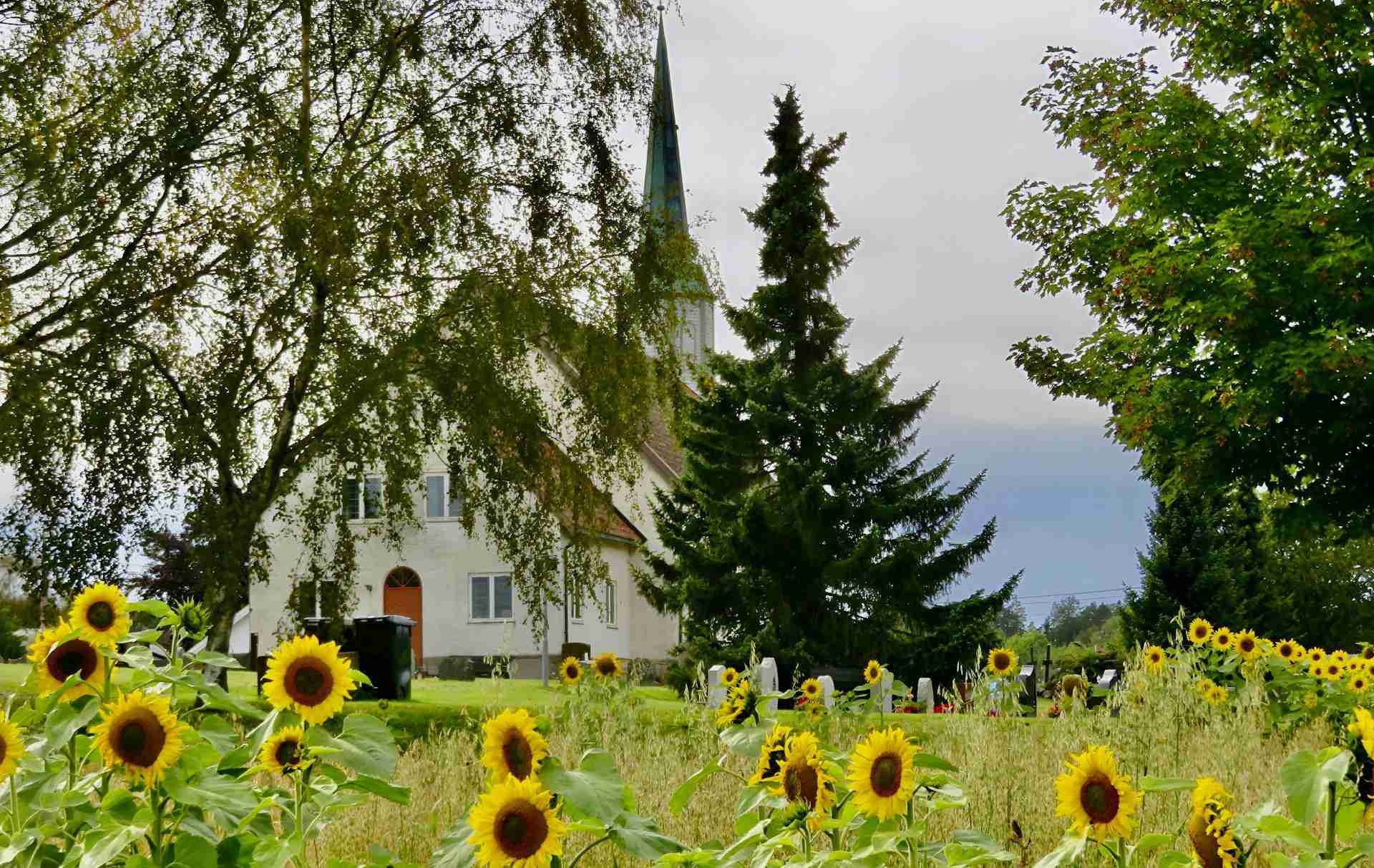 Torsnes Kirke by Kato Bergli