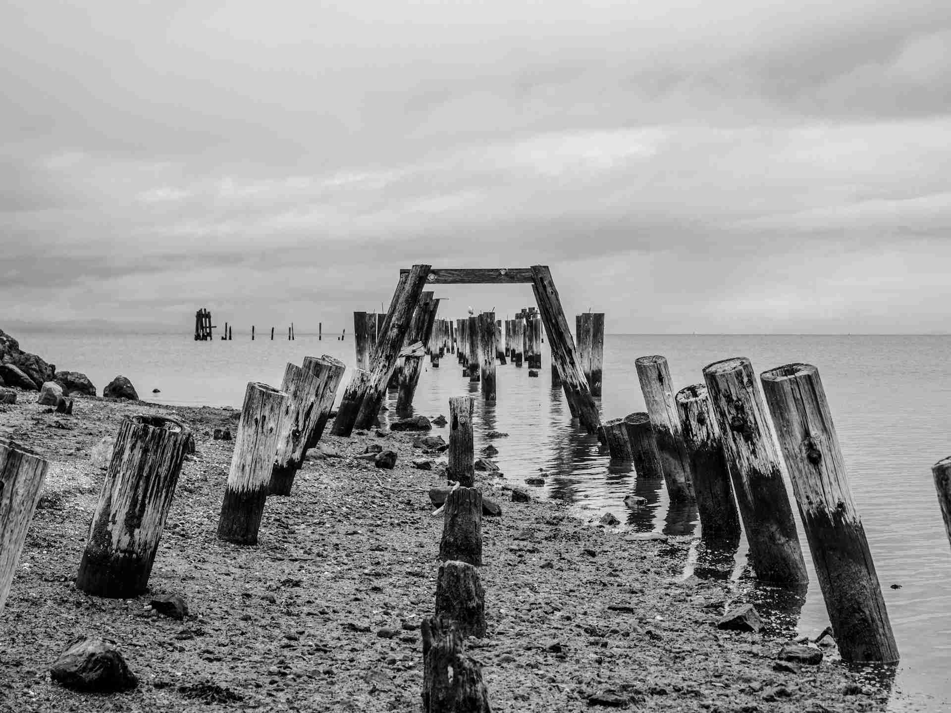 Old Abandoned Pier, Point Pinole by Ronan Furuta