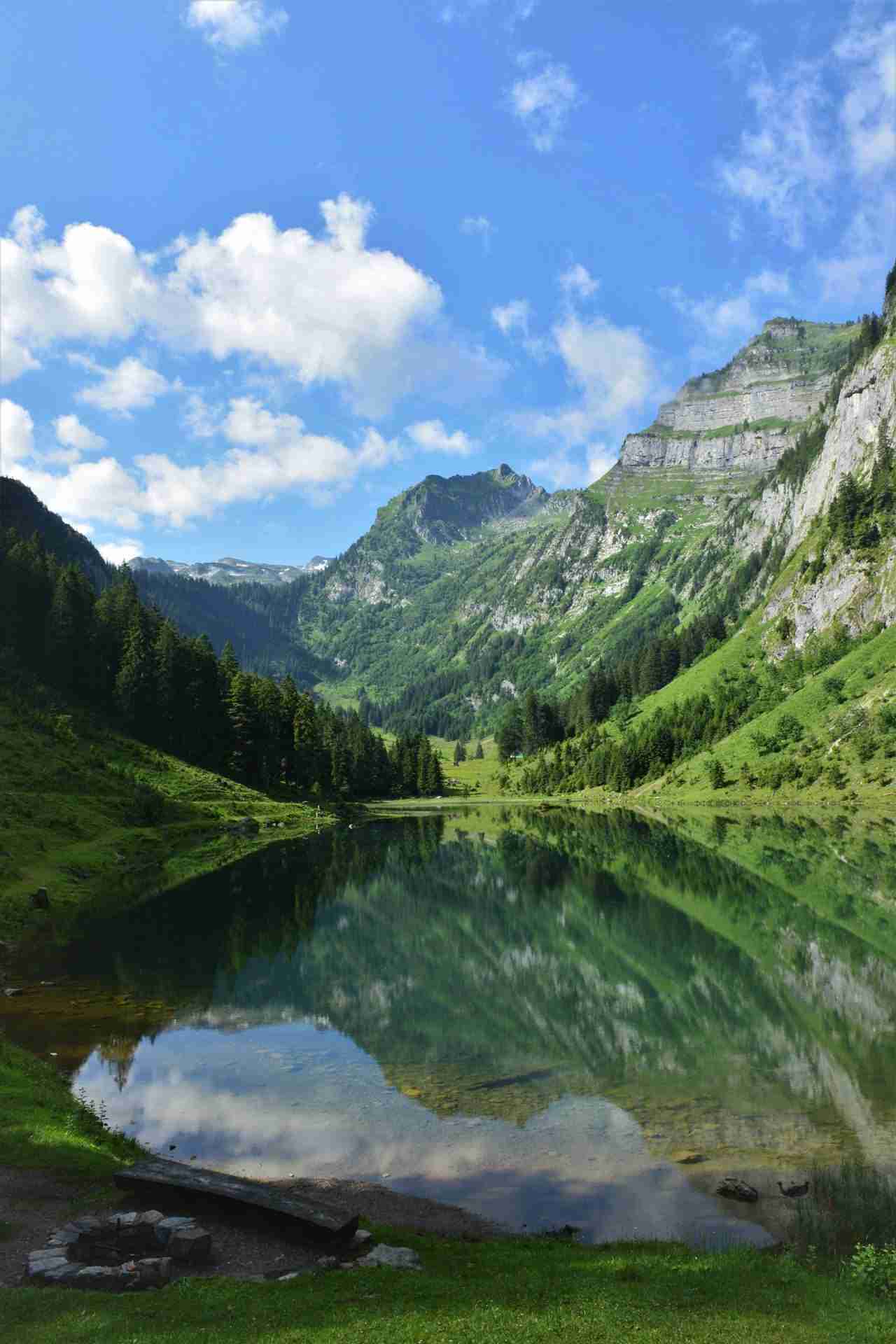 Talalpsee by Peter Steiner 🇨🇭 1973
