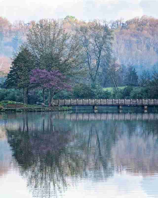 Marshall Lake and Marshall Island by Karen Lauster