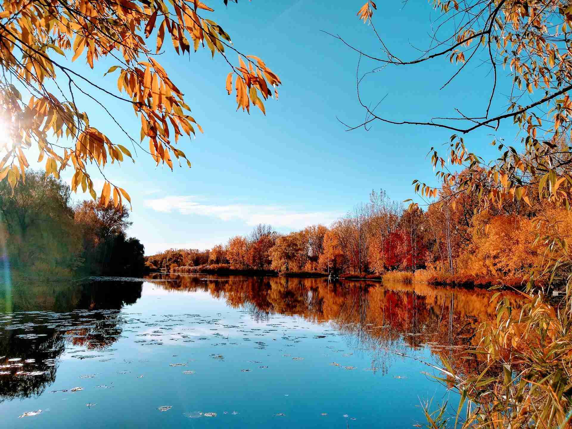 Parc Angrignon by Robbie Di Matteo