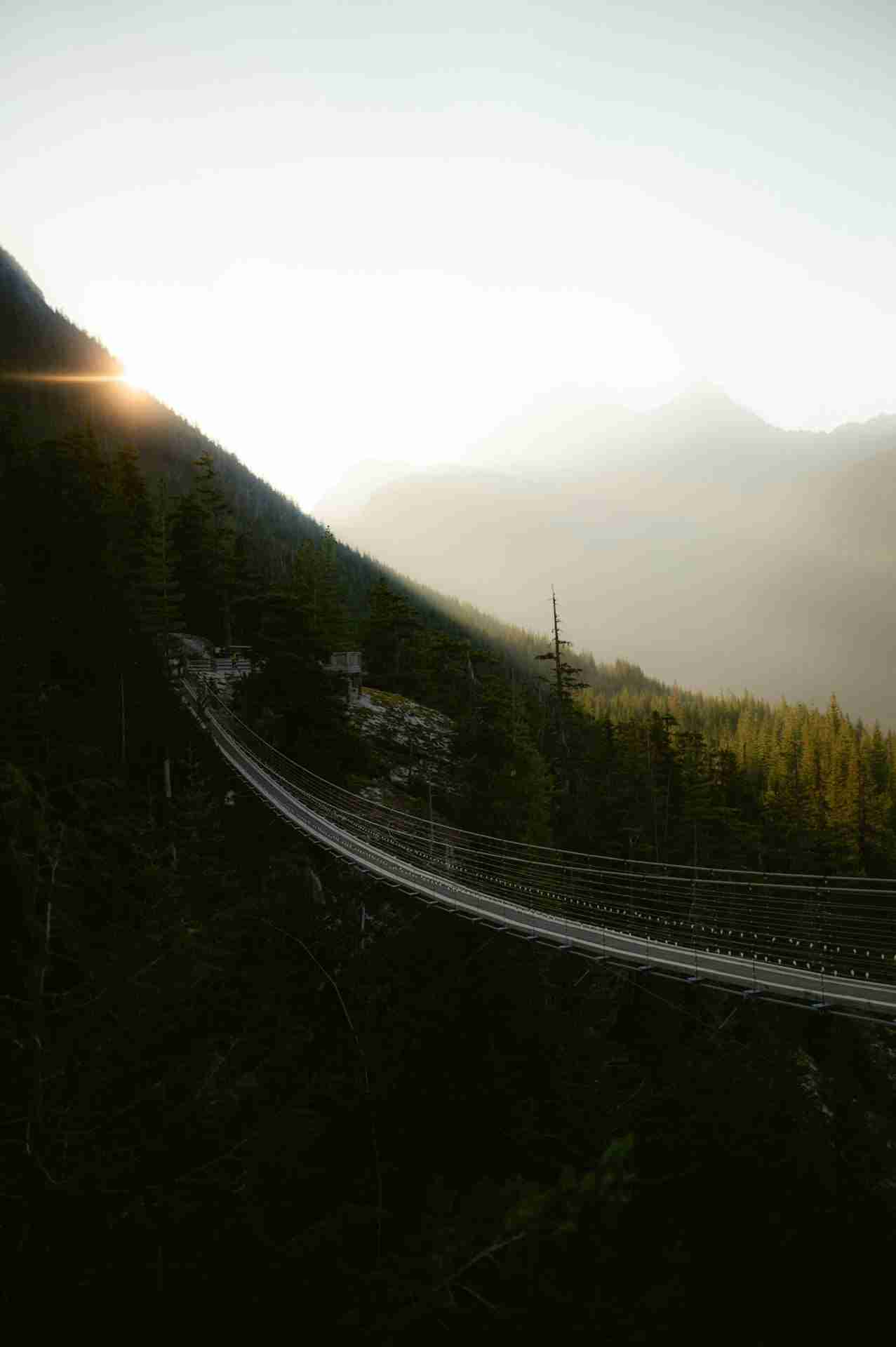 Sky Pilot Suspension Bridge by Luke Miller