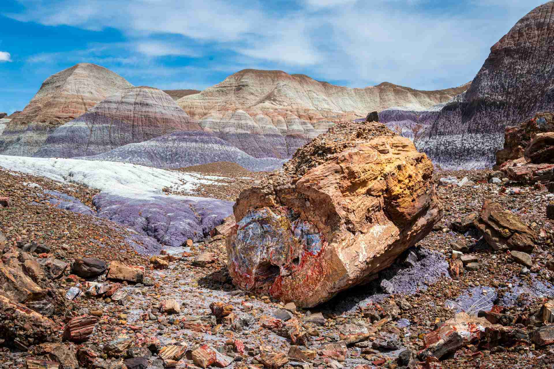 Blue Mesa Trail by Joseph Corl