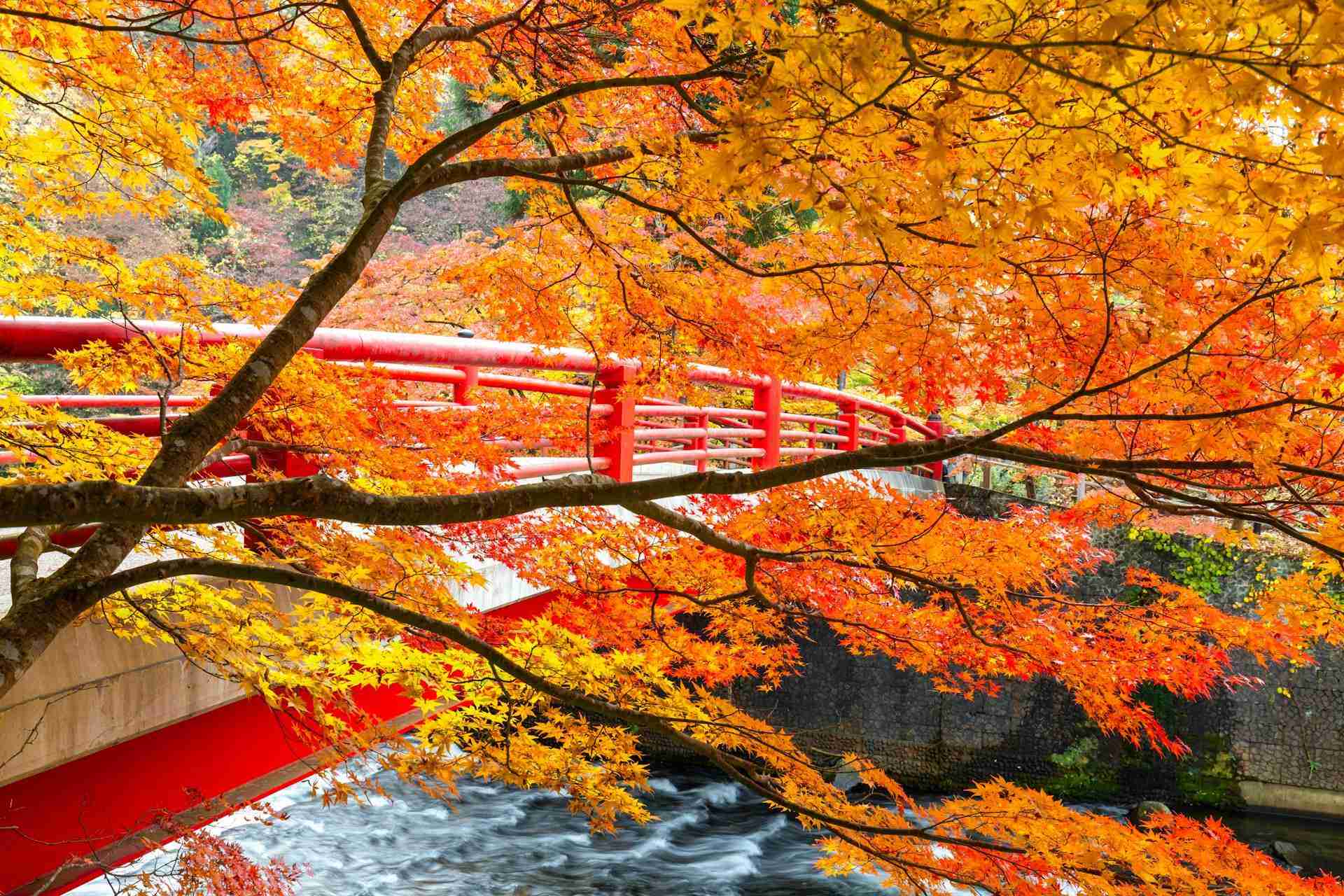 Fudo Bridge by Jun Ohashi
