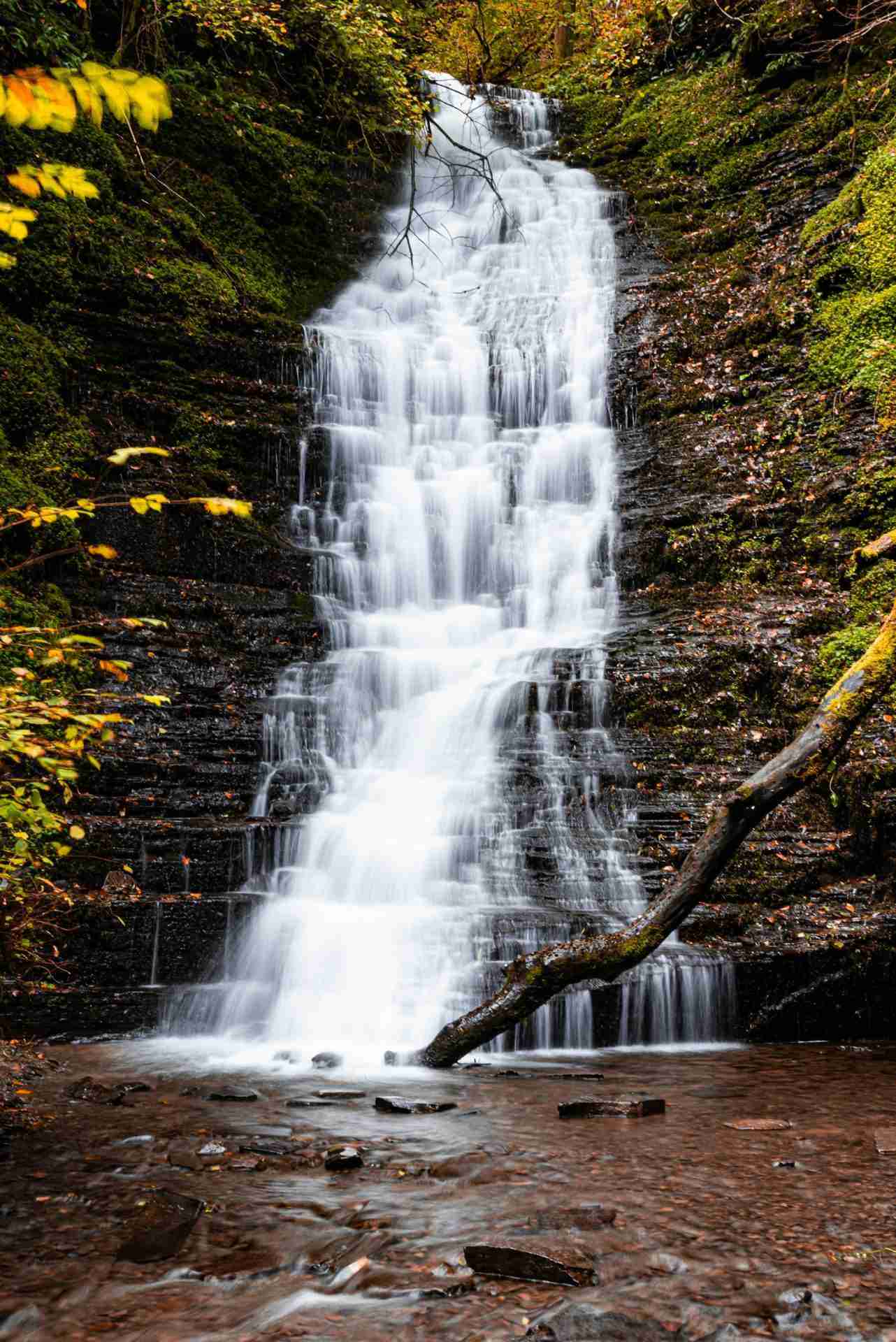 Water-Break-Its-Neck by Dan Blackburn