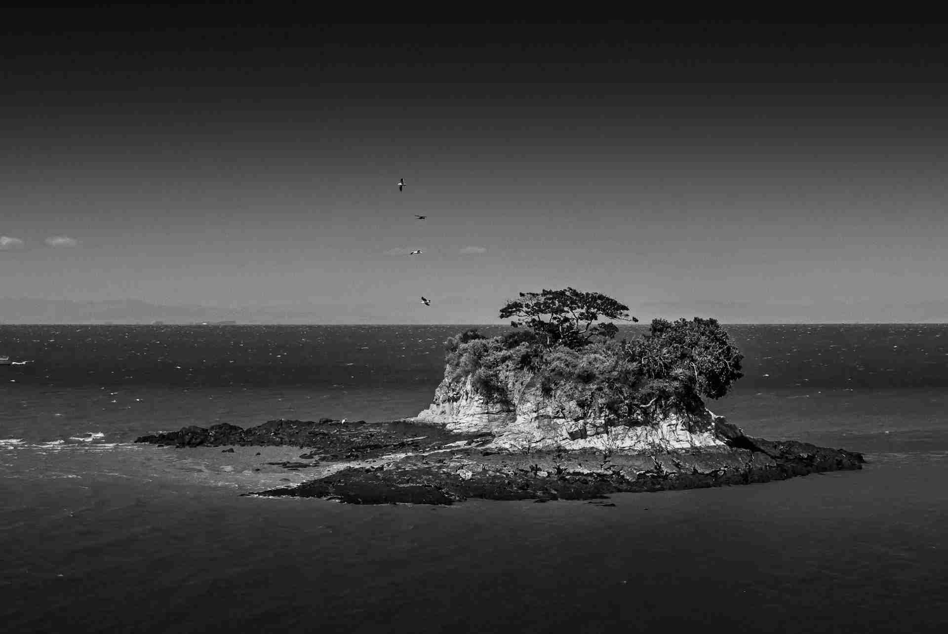 Rat Rock Island by Dennis Yu